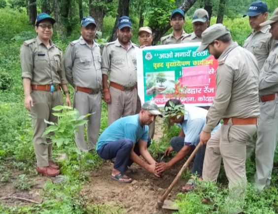 लैंसडौन वन प्रभाग के कोटद्वार रेंज ने 175 पौधे रोप कर मनाया वृक्षारोपण सप्ताह