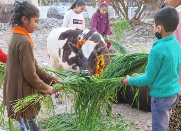 स्लम बच्चों ने 14 फरवरी को मनाया Cow day