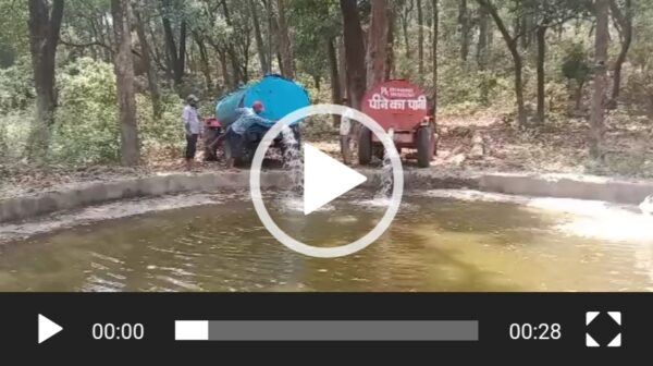 जंगली जानवरों के लिए कोटद्वार रेंज की गिवाई बीट के वाटर होल में भरा पानी