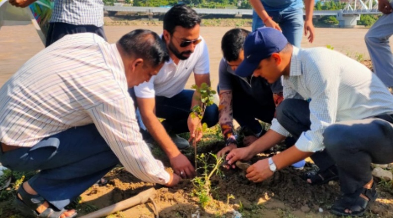 लोक पर्व हरेला पर लगे छायादार एवं फलदार पौधे