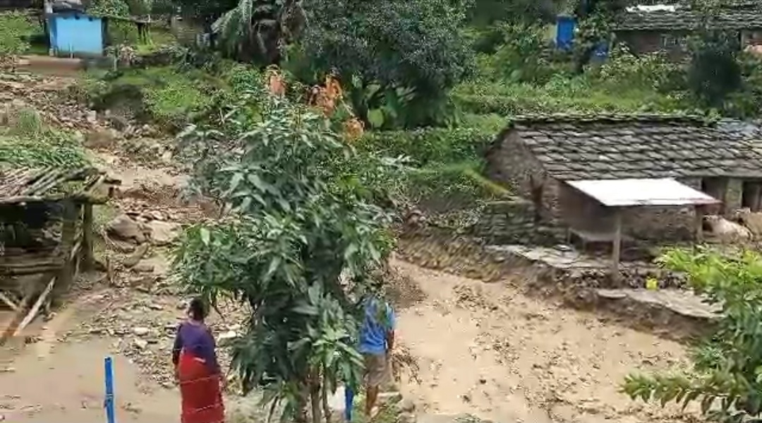 आपदा के लिए सीमेंटेड आवास जिम्मेदार- आनंद