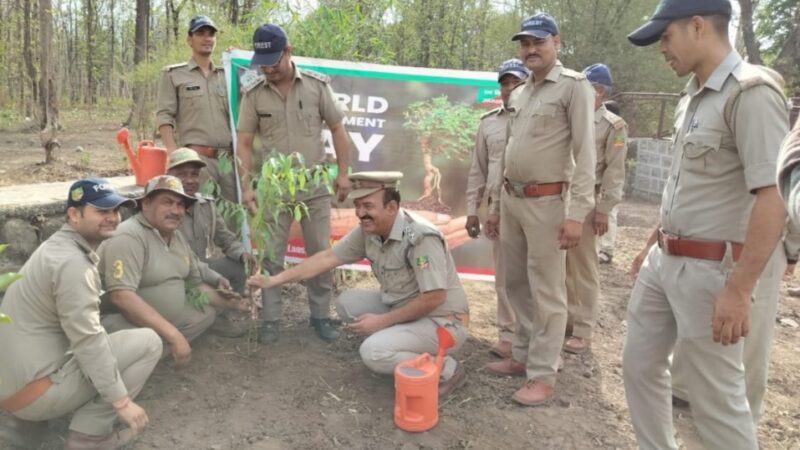 लैंसडौन वन प्रभाग ने कोटद्वार रेंज की नगर वन वाटिका में पौधारोपण कर मनाया पर्यावरण दिवस