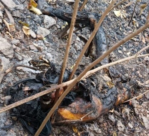 लैंसडाउन के जंगल में मिला जला शव, सनसनी
