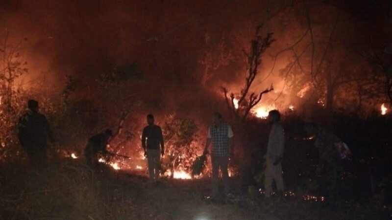लैन्सडौन वन प्रभाग ने रविवार को लालपानी वन बीट के जंगल मे आग लगाने वाली महिला के खिलाफ दर्ज कराई FIR