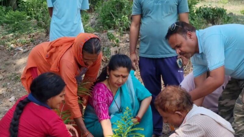 कांग्रेस नेत्री रंजना रावत के अगुआई में कांग्रेसियों ने किया वृक्षारोपण