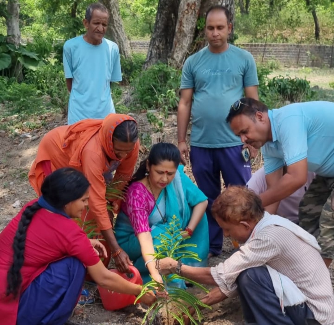 कांग्रेस नेत्री रंजना रावत के अगुआई में कांग्रेसियों ने किया वृक्षारोपण