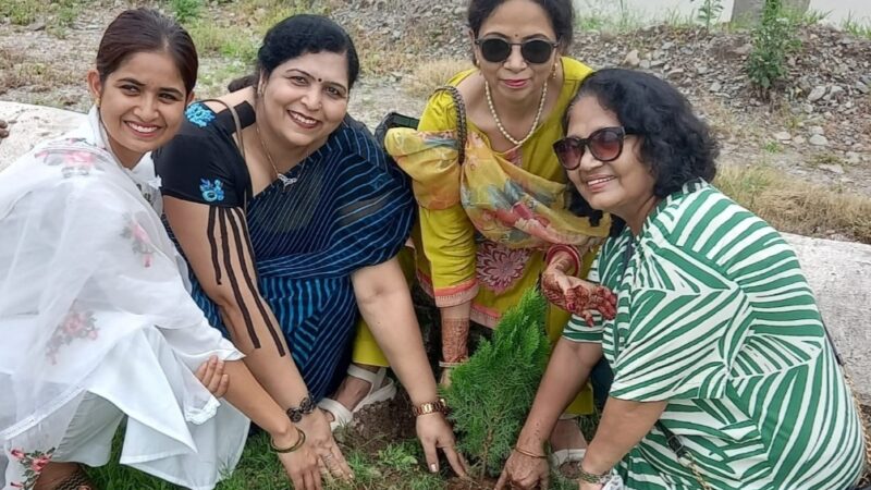 रोटरी क्लब व इनरव्हील क्लब ने हल्दूखाता में किया वृक्षारोपण