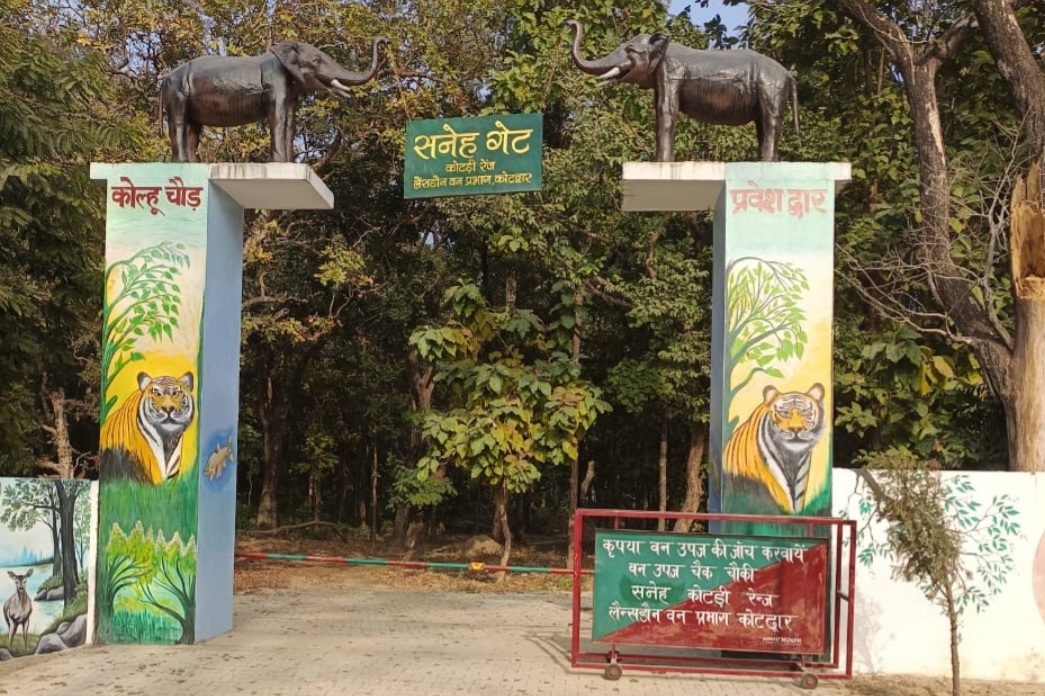 सनेह क्षेत्र में 31 जनवरी व 1 फरवरी को होगा बर्ड वाचिंग महोत्सव का आयोजन