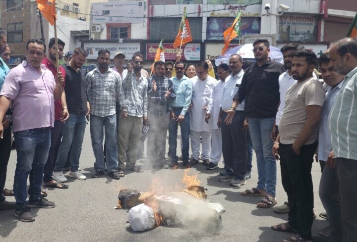 भाजपा के ओबीसी मोर्चा ने फूंका राहुल गांधी का पुतला