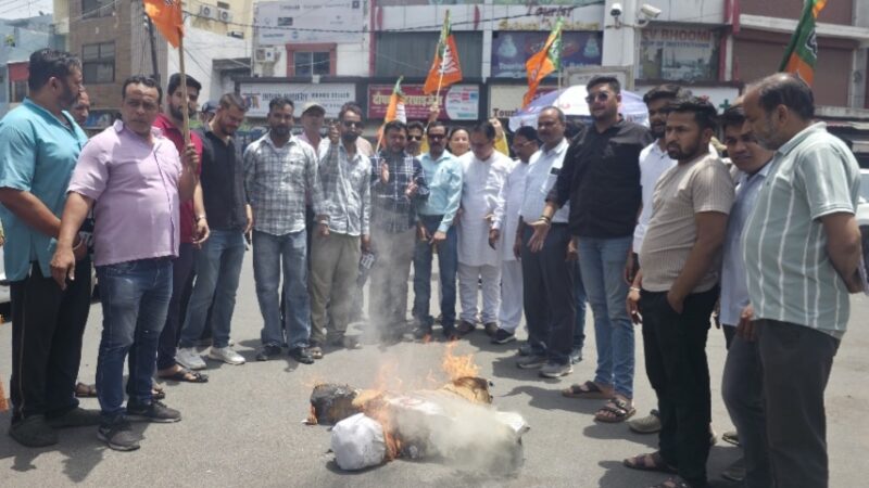 भाजपा के ओबीसी मोर्चा ने फूंका राहुल गांधी का पुतला