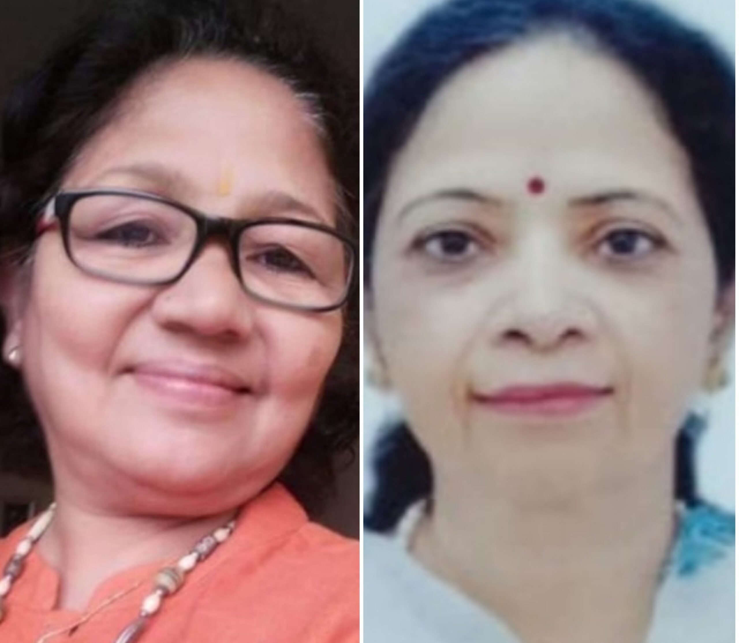 प्रतिभा अध्यक्ष तो वीना बनी रोटरी क्लब की सचिव