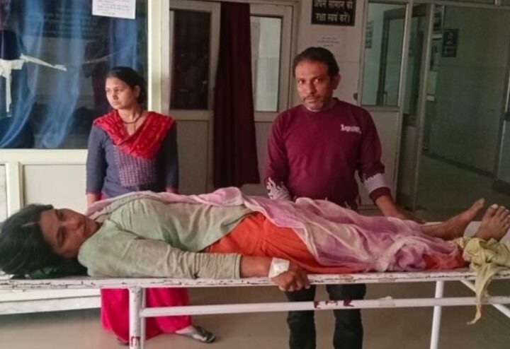 पुलिंडा में जंगल में घास काटने गयी महिला पर हाथी ने किया हमला, गंभीर रूप से घायल