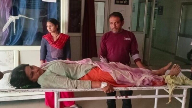 पुलिंडा में जंगल में घास काटने गयी महिला पर हाथी ने किया हमला, गंभीर रूप से घायल