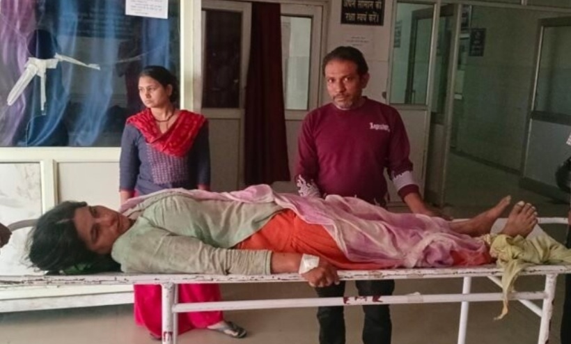पुलिंडा में जंगल में घास काटने गयी महिला पर हाथी ने किया हमला, गंभीर रूप से घायल