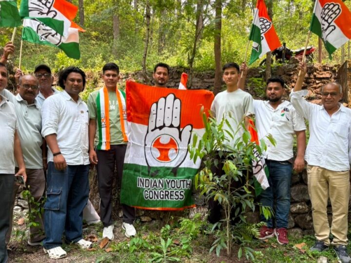 कांग्रेसियों ने वृक्षारोपण कर मनाया राहुल गांधी का जन्मदिन