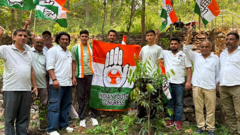 कांग्रेसियों ने वृक्षारोपण कर मनाया राहुल गांधी का जन्मदिन