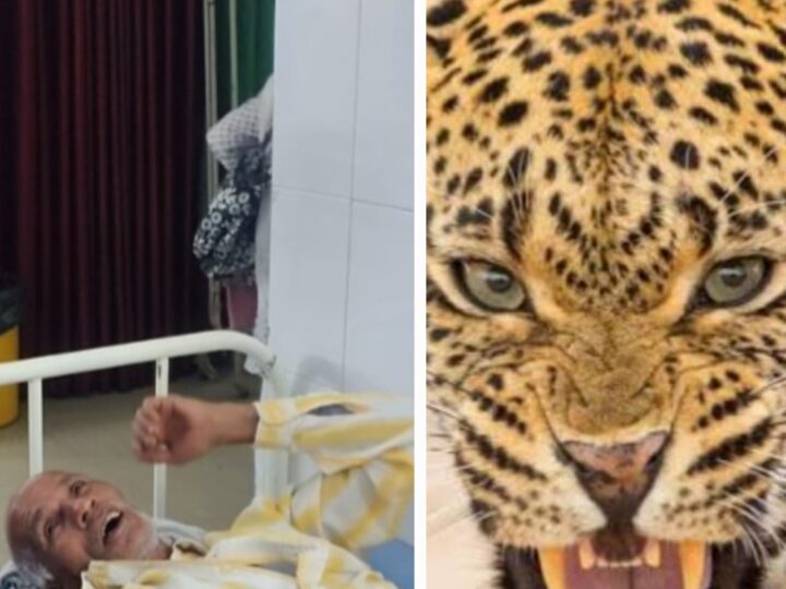 कोटद्वार के पुलिंडा गाँव में तेंदुए ने किया बजुर्ग पर हमला
